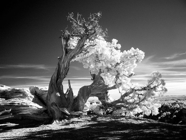 Завораживающие черно-белые фотографии (32 Фото)