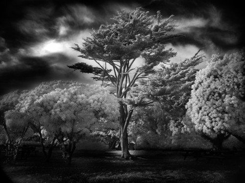 Великолепные черно-белые снимки (21 Фото)