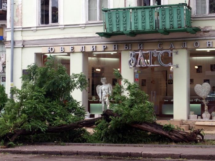 По Одессе прошел ураган, сотни деревьев были поломаны (7 Фото)