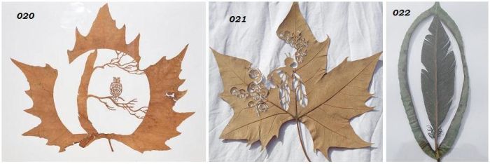 Удивительное искусство из листьев (8 Фото)