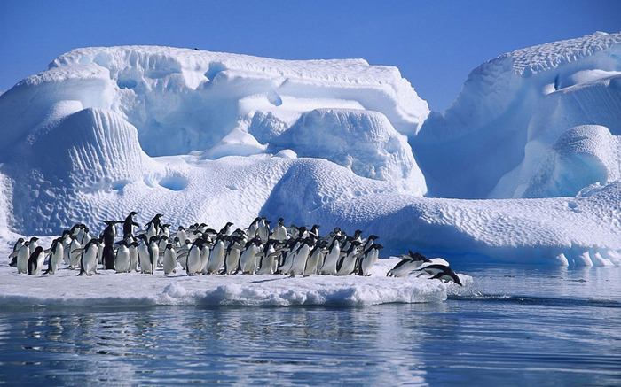 Красивые и зачаровывающие айсберги (35 Фото)