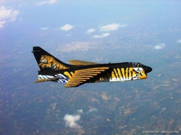 Классные рисунки на самолетах (28 Фото)