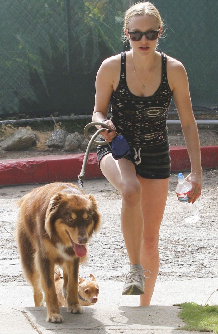 Аманда Сэйфрид выгуливает собаку (9 Фото)
