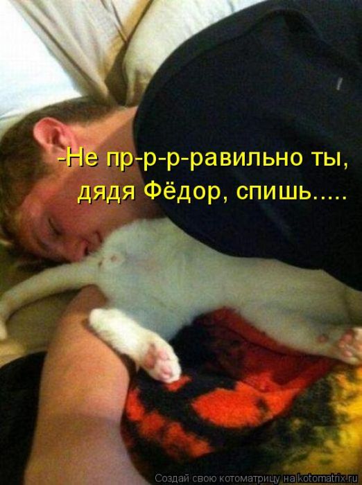 http://trinixy.ru/pics5/20120308/kotomatrix_02.jpg