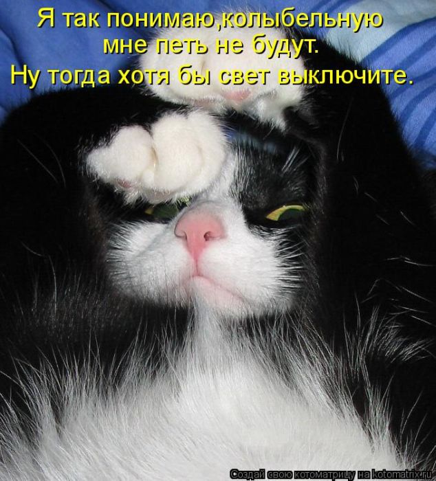 http://trinixy.ru/pics5/20120308/kotomatrix_03.jpg