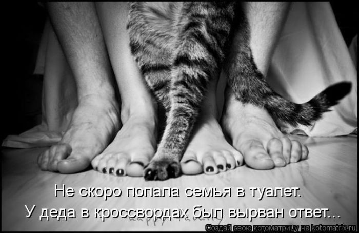 http://trinixy.ru/pics5/20120308/kotomatrix_16.jpg