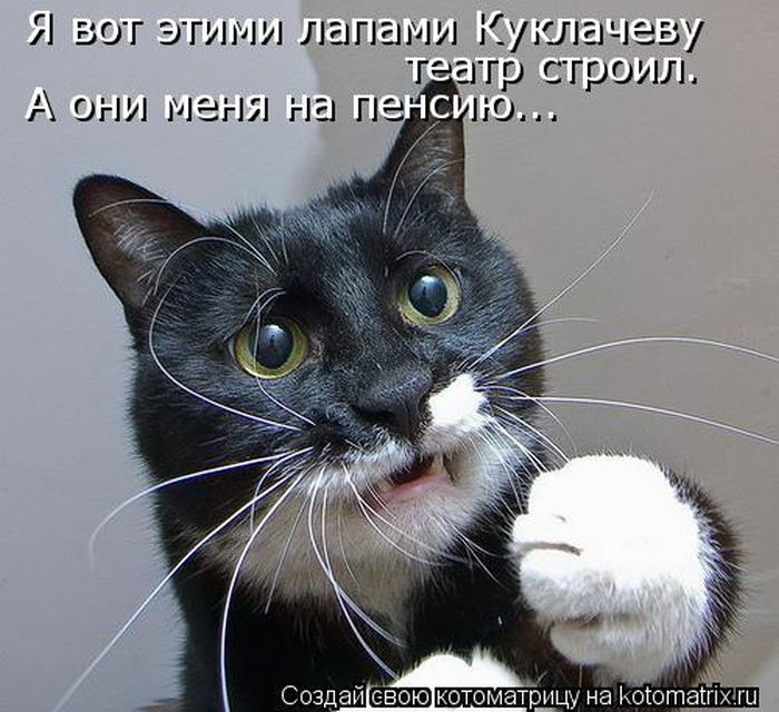 http://trinixy.ru/pics5/20120308/kotomatrix_22.jpg