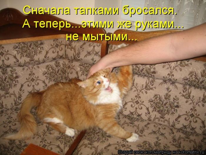http://trinixy.ru/pics5/20120308/kotomatrix_27.jpg