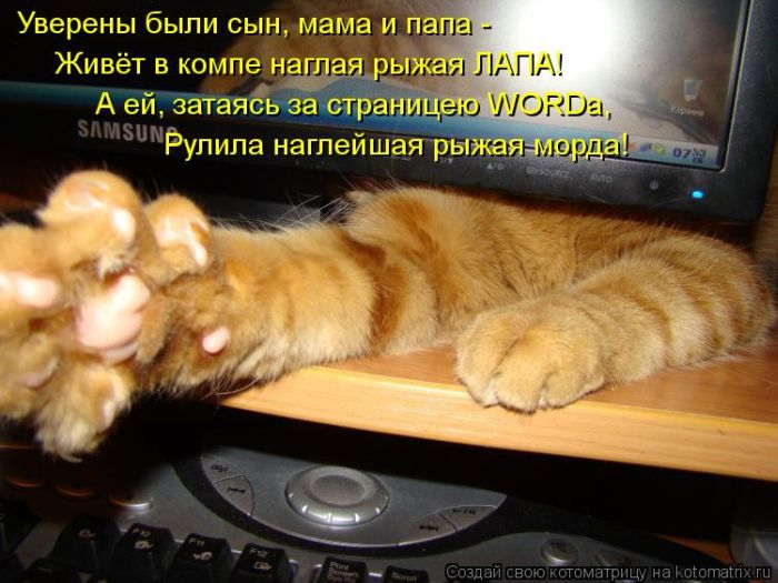 http://trinixy.ru/pics5/20120308/kotomatrix_32.jpg
