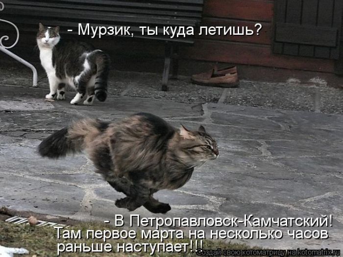 http://trinixy.ru/pics5/20120308/kotomatrix_33.jpg