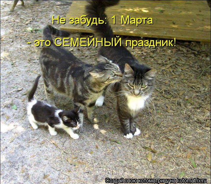 http://trinixy.ru/pics5/20120308/kotomatrix_37.jpg