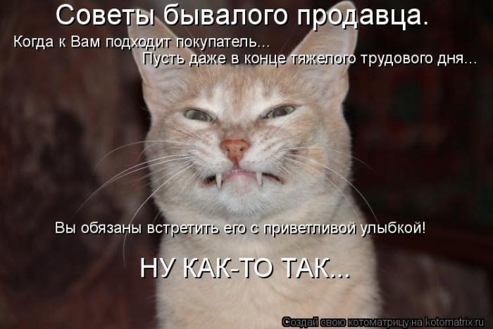 http://trinixy.ru/pics5/20120308/kotomatrix_43.jpg