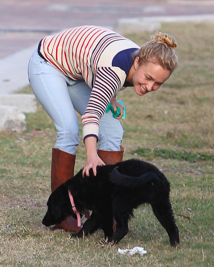 Хайден Панеттьери обожает собак (9 Фото)