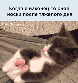http://trinixy.ru/pics5/20131108/jiznenno_05.gif