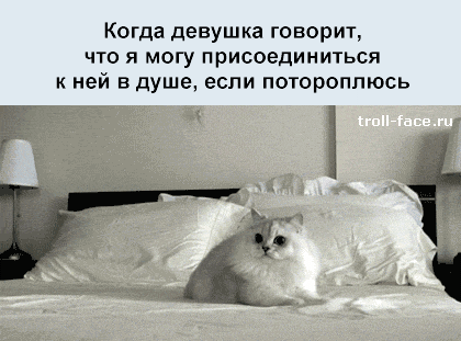 http://trinixy.ru/pics5/20131108/jiznenno_16.gif