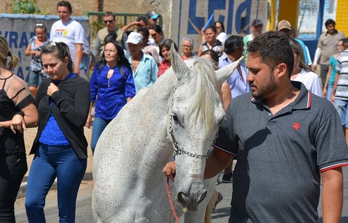 Картинки по запросу лошадь прощается со своим хозяином (5 фото)
