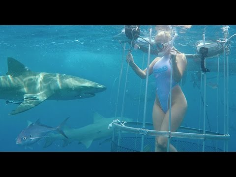 Порнозвезду Молли Кавалли во время съемок укусила акула