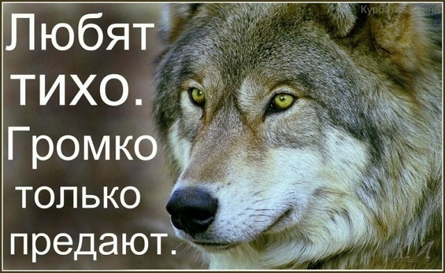 Цитаты о волках